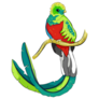 Resplendent Quetzal Sticker