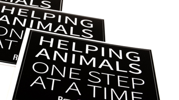 ResQ Walk Custom Rectangle Stickers