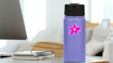 Retro Aesthetic Y2k Flower Sticker on a Water Bottle (New) example