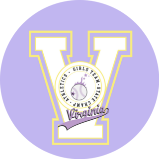 Retro College Varsity Typography Virginia State Sticker