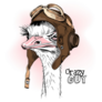 Retro Ostrich Aviator Sticker