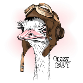Retro Ostrich Aviator Sticker