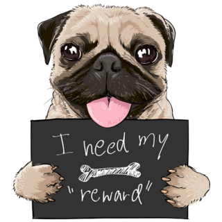 Reward Sign Pug Sticker
