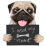 Reward Sign Pug Sticker