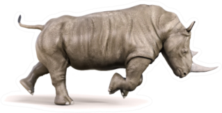 Rhino Running On White Background Illustration Sticker