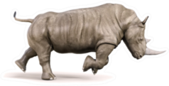 Rhino Running On White Background Illustration Sticker