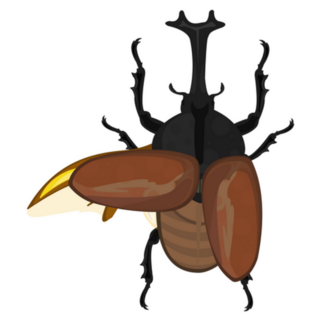 Rhinoceros Beetle One Wing Up Sticker
