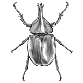 Rhinoceros Beetle Vintage Illustration Sticker