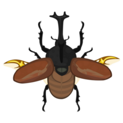 Rhinoceros Beetle Wings Spread Sticker