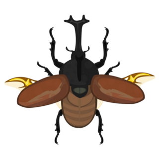 Rhinoceros Beetle Wings Spread Sticker