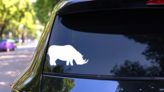 Rhinoceros Grazing Sticker on a Rear Car Window (New) example