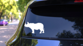 Rhinoceros Sticker on a Rear Car Window (New) example