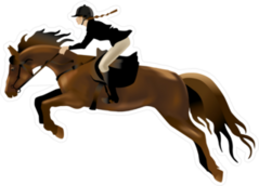 Riding Competition Horse Jumping Left