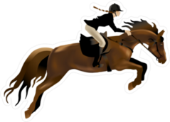 Riding Competition Horse Jumping Right