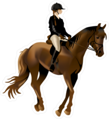 Riding Competition Horse Walking Sticker