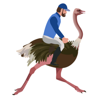 Riding Ostrich Man 