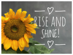 Rise And Shine Sunflower Sticker