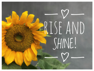 Rise And Shine Sunflower Sticker