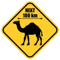 Road Sign - Attention Animal, Camels Crossing Sticker