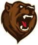 Roaring Bear Head Sports Mascot Sticker