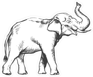 Roaring Elephant Sketch Sticker