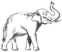 Roaring Elephant Sketch Sticker