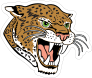 Roaring Leopard Mascot Sticker
