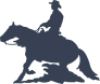 Rodeo Cowboy And Reining Horse Sticker