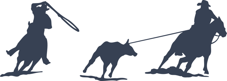 Rodeo Cowboys Team Rope Sticker