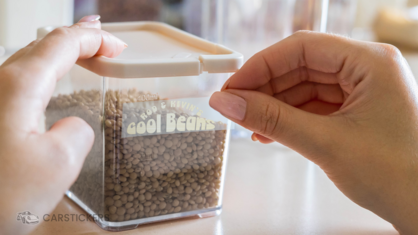 Rods Beans Transfer Decal