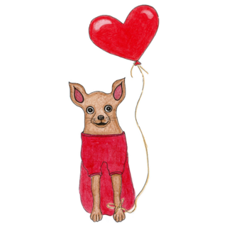 Romantic Chihuahua Sticker