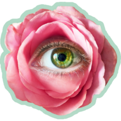 Romantic Flowers Roses Eye Collage Sticker