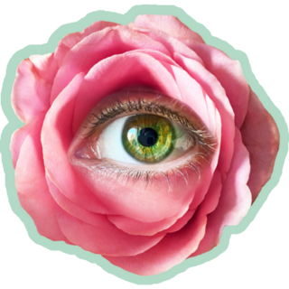 Romantic Flowers Roses Eye Collage Sticker