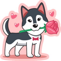 Romantic Husky Sticker