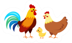 Rooster Cock With Hen And Chick Chicken Family Illustration Sticker