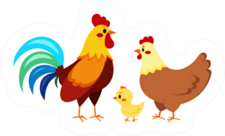 Rooster Cock With Hen And Chick Chicken Family Illustration Sticker