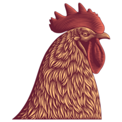 Rooster Head Detailed Sticker