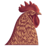 Rooster Head Detailed Sticker