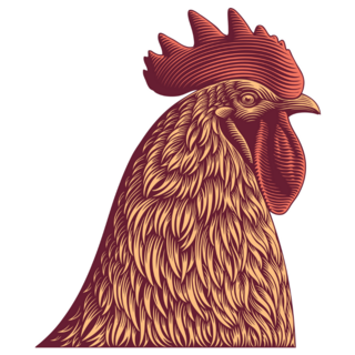 Rooster Head Detailed Sticker