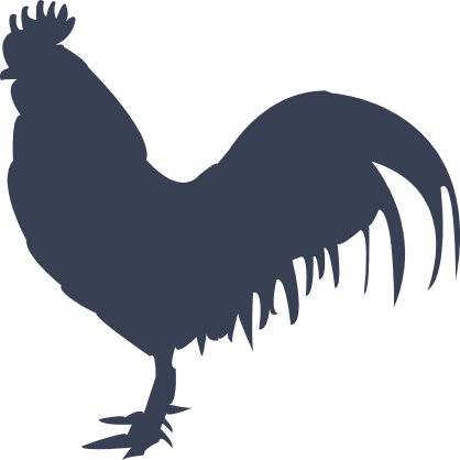 Rooster Sticker