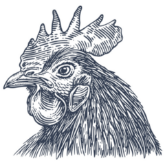 Rooster Vintage Retro Sticker