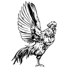 Rooster Wings Out Sketch Sticker