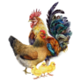 Rooster With Hen And Chicks Sticker