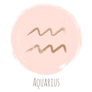 Rose And Gold Aquarius Zodiac Sticker