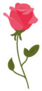 Rose Icon Sticker
