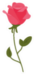 Rose Icon Sticker
