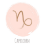 Rosy Pink Color Circle Capricorn Sticker