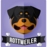  Rottweiler Banner Sticker