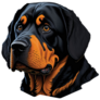 Rottweiler Face Sticker