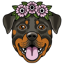 Rottweiler Flower Crown Sticker